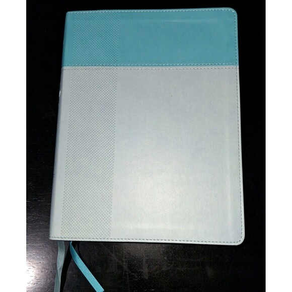 NIV, Starting Place Study Bible (An Introductory Study Bible), Leathersoft, Teal - Picture 2 of 14